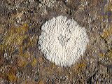 dscn0094a